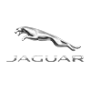 Search JAGUAR